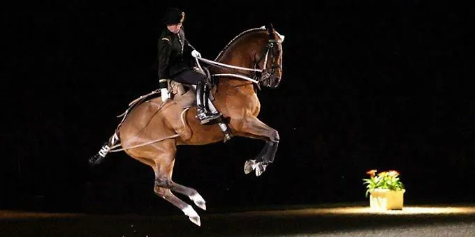 Cosy Flat 2 Eme Etage Vue Chateau Loire A Velo شقة